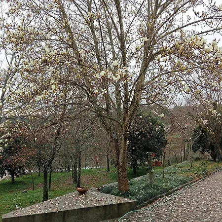 Vianashome Bed and breakfast 3*