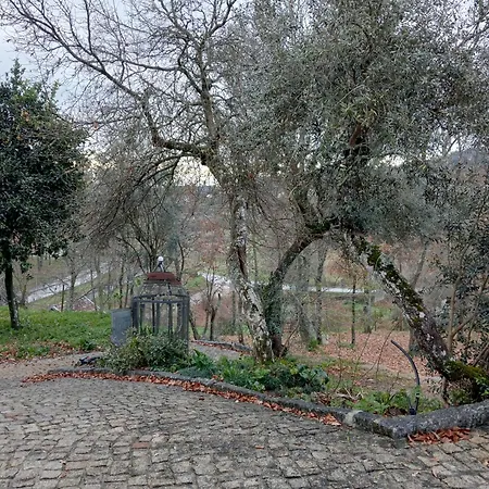 Bed and breakfast Vianashome 3*