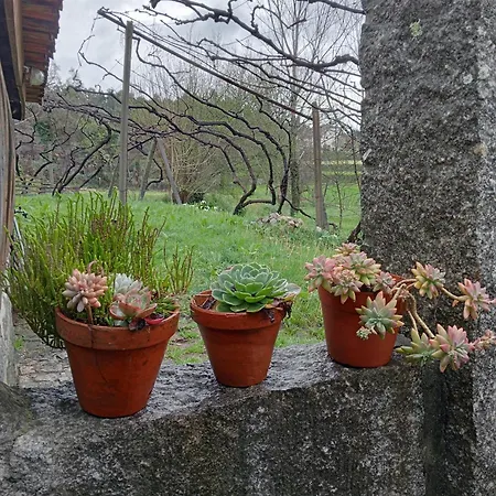 Bed and breakfast Vianashome