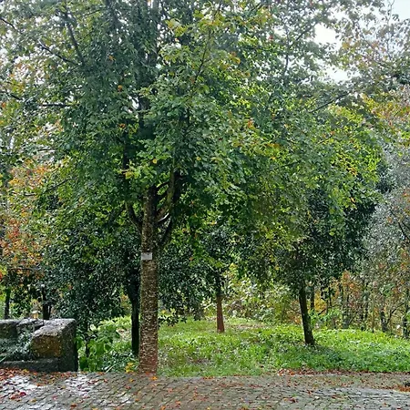 Bed and breakfast Vianashome 3*
