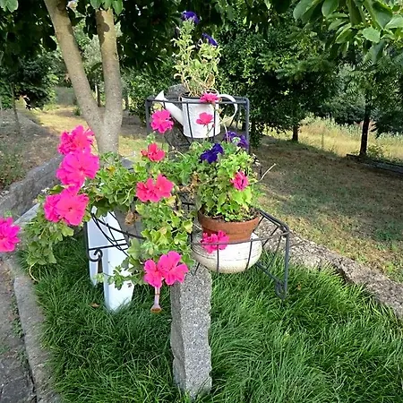 Vianashome Bed & Breakfast 3*
