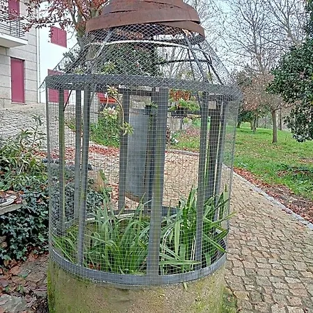Bed & Breakfast Vianashome Amarante