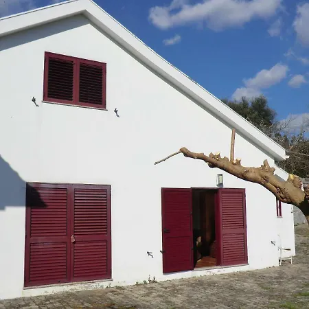 Bed and breakfast Vianashome Amarante