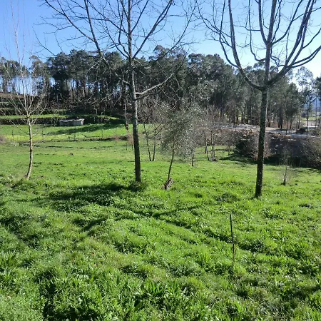 Alojamento de Acomodação e Pequeno-almoço Vianashome 3*