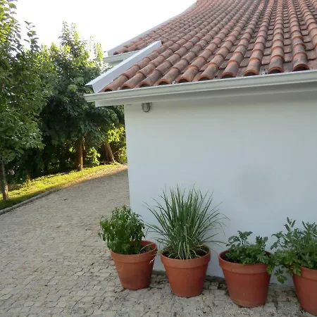 Bed and Breakfast Vianashome Amarante