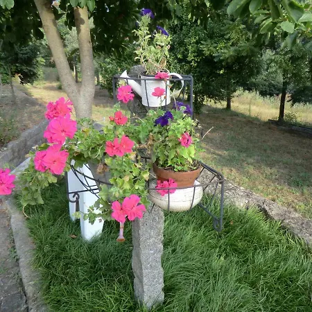 Vianashome أمارانتي