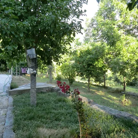 Alojamento de Acomodação e Pequeno-almoço Vianashome Amarante