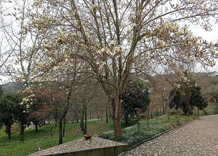 Vianashome Bed & Breakfast 3*