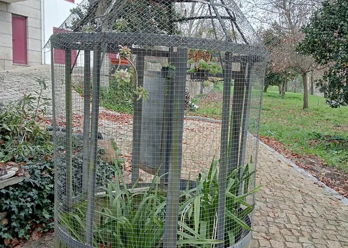 Vianashome Bed & Breakfast Amarante