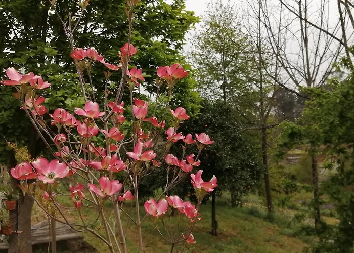 Vianashome 3* Amarante