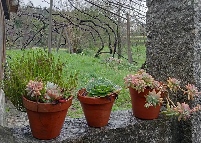 Bed & Breakfast Vianashome