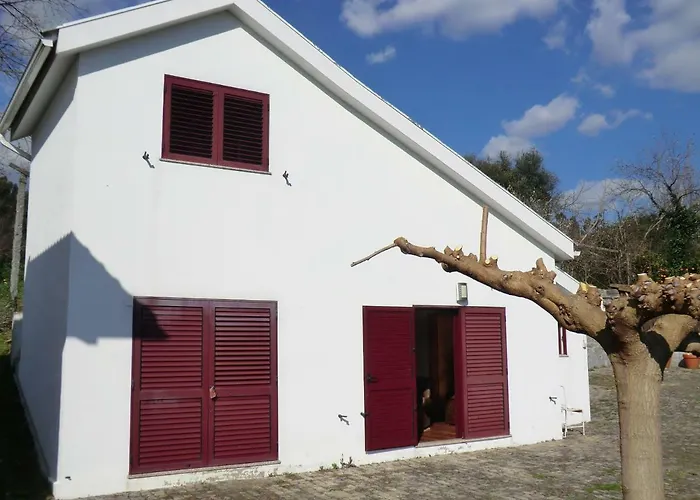 Bed & Breakfast Vianashome Amarante