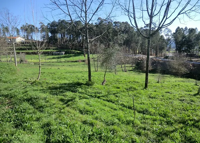 Bed & Breakfast Vianashome 3*