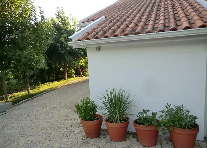 Bed & Breakfast Vianashome Amarante