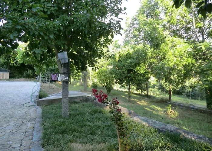 Bed & Breakfast Vianashome Amarante